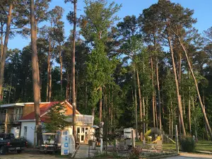 CampMD 베케이션 커티지