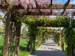 Parc Viva