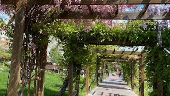 Parc Viva