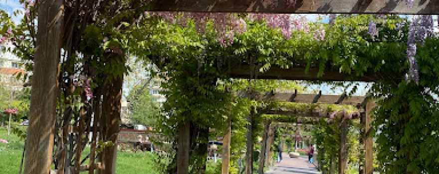 Parc Viva