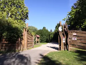 Bábolnai Arborétum és Állatpark
