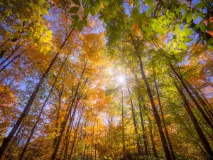 Hagar Mountain State Natural Area