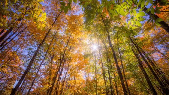 Hagar Mountain State Natural Area