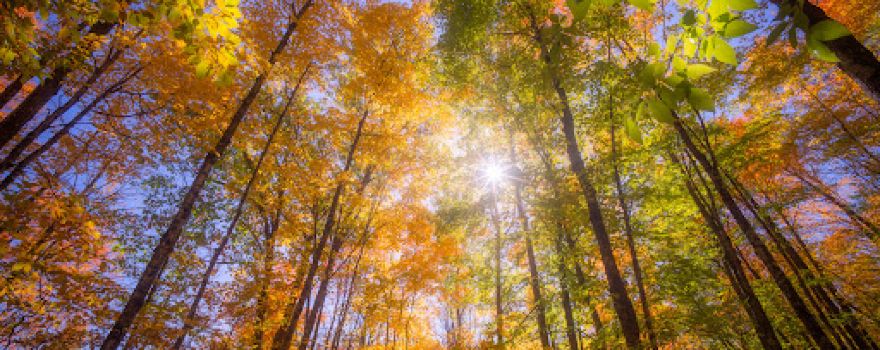 Hagar Mountain State Natural Area