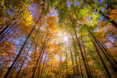 Hagar Mountain State Natural Area