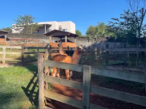 Zoológico Unisep.