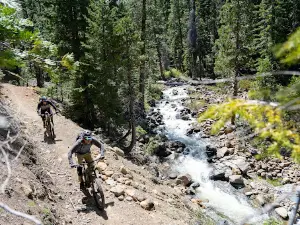 Shasta Gravity Adventures