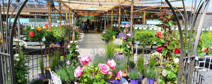 Roth plants AG