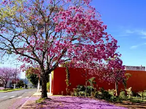 Praça Vila São José
