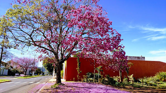 Praça Vila São José