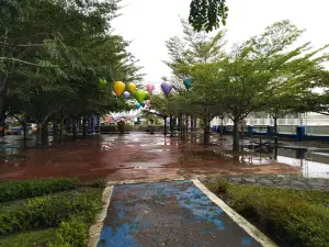 Stadion Swakarya, Muara Teweh