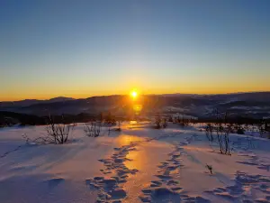 Lookout Mountain Barania