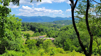 Bailey Mountain Preserve