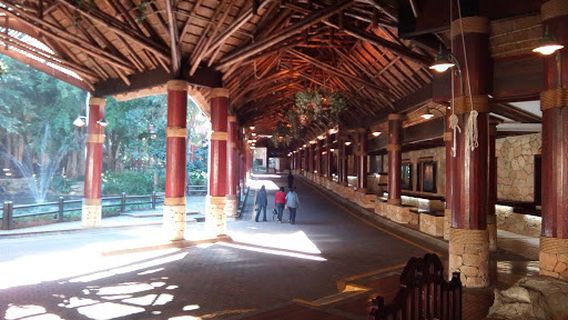 The Magic Company @ Wild Coast Sun Casino