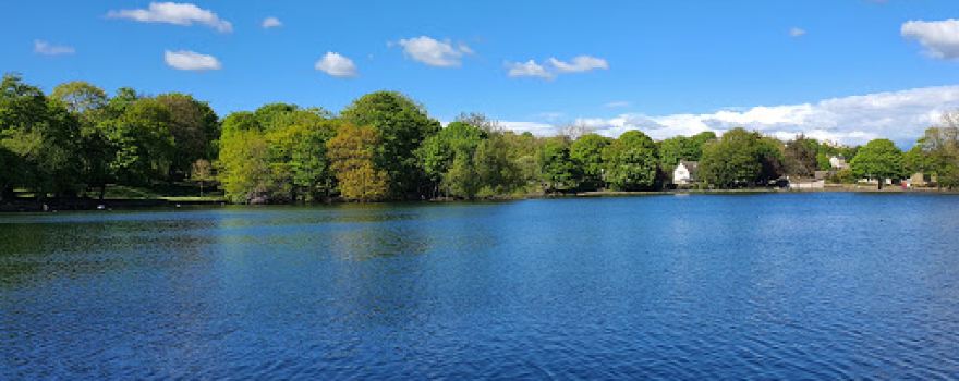 Harold Park
