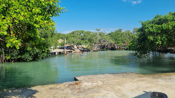Rio Lagartos