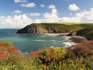 Crackington Beach