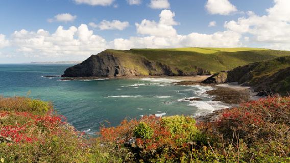 Crackington Beach