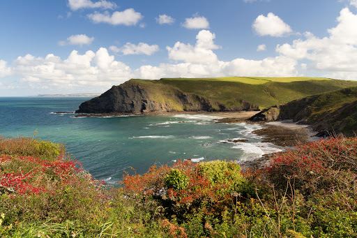 Crackington Beach