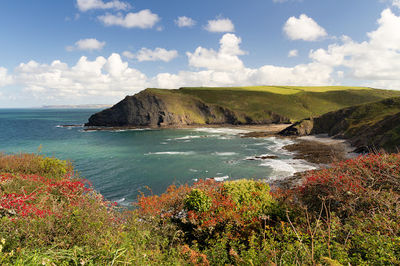 Crackington Beach