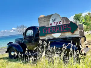 Cherry U-Pick at Third Coast Fruit Co.