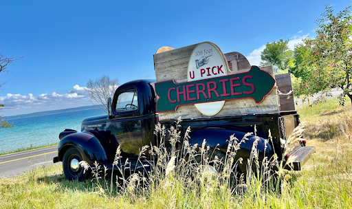 Cherry U-Pick at Third Coast Fruit Co.
