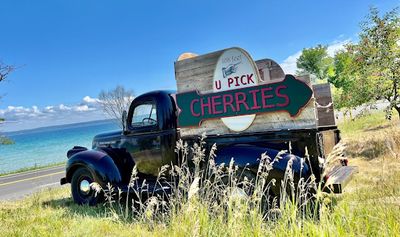 Cherry U-Pick at Third Coast Fruit Co.