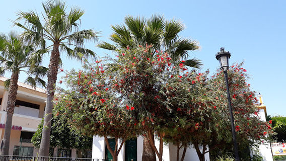 Villa Matilde