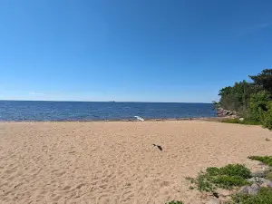 셀러스 공원