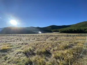 Tsenkheriyn Khaluun Us