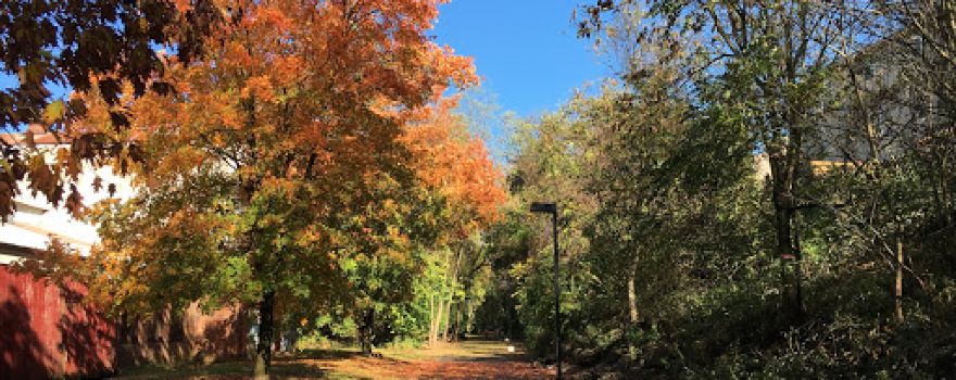 Ephrata Linear Park