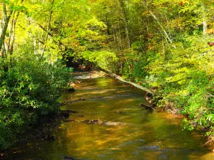 Laurel Creek Trail