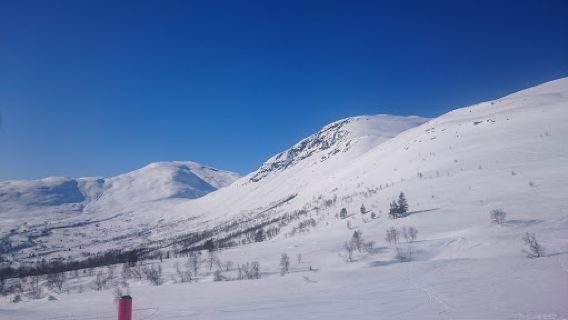 Stryn Vinterski