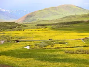 Cayirtepe Koyu Muhtarligi