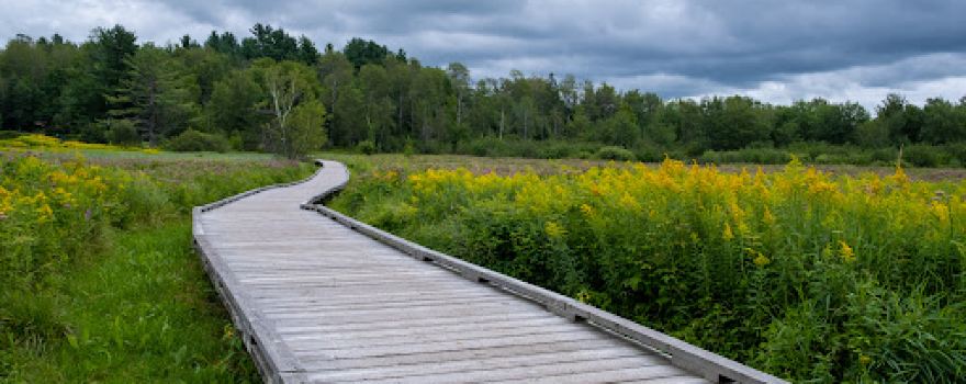 Missisquoi North Course