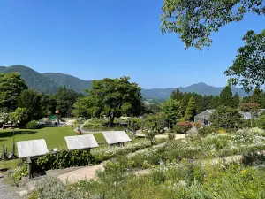 Aromatic Forest Park Craft Museum