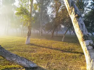 Guru Gobind Singh Stadium