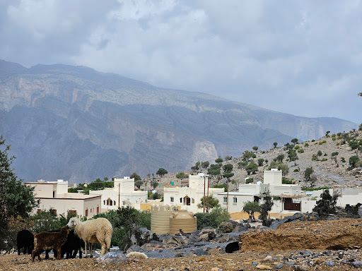 Jebel Shams View Point