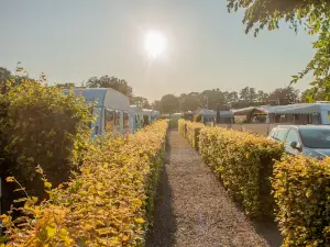 Asaa Camping & Cottages