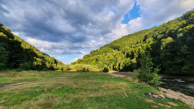 Coada lacului Tarnita