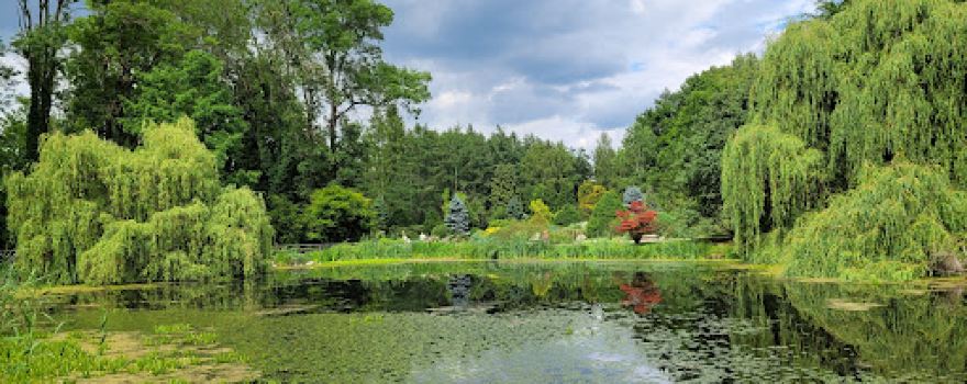 Ogród Dendrologiczny Przelewice