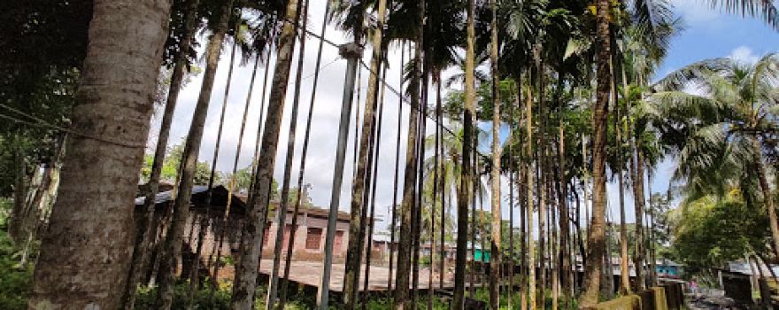 Charchenga Bazar Jame Mosque