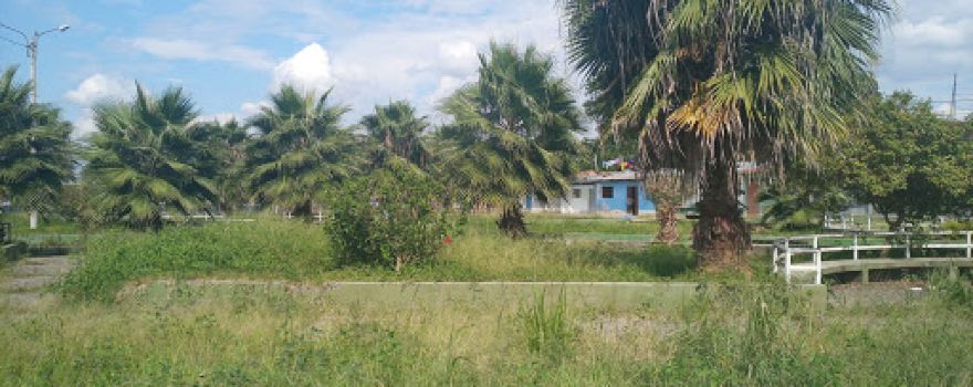 PLAZA SANTA ROSA