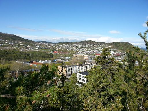 Corner Brook Stream Trail (Three Bear Mountain Trail)