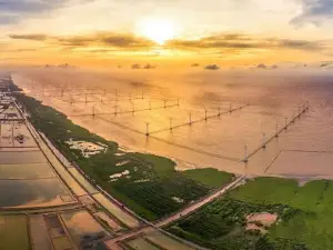 Cánh Đồng Điện Gió Bạc Liêu