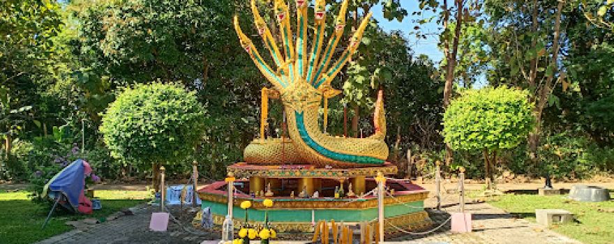 Wat Phra Phutthabat Wern Pla