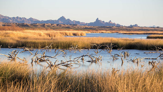 Havasu National Wildlife Refuge