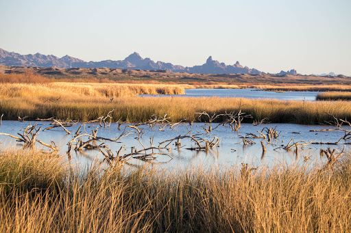 Havasu National Wildlife Refuge