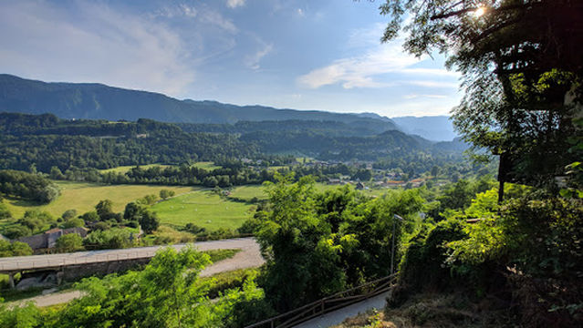 Čebelarski muzej Radovljica