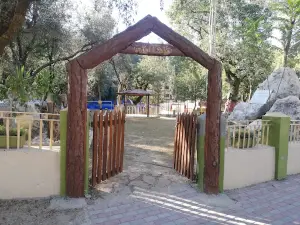 Jamia Masjid PAF Base Skesar